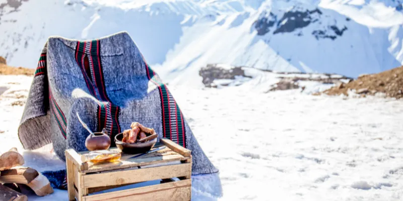 How To Have A Picnic In The Winter Without Freezing